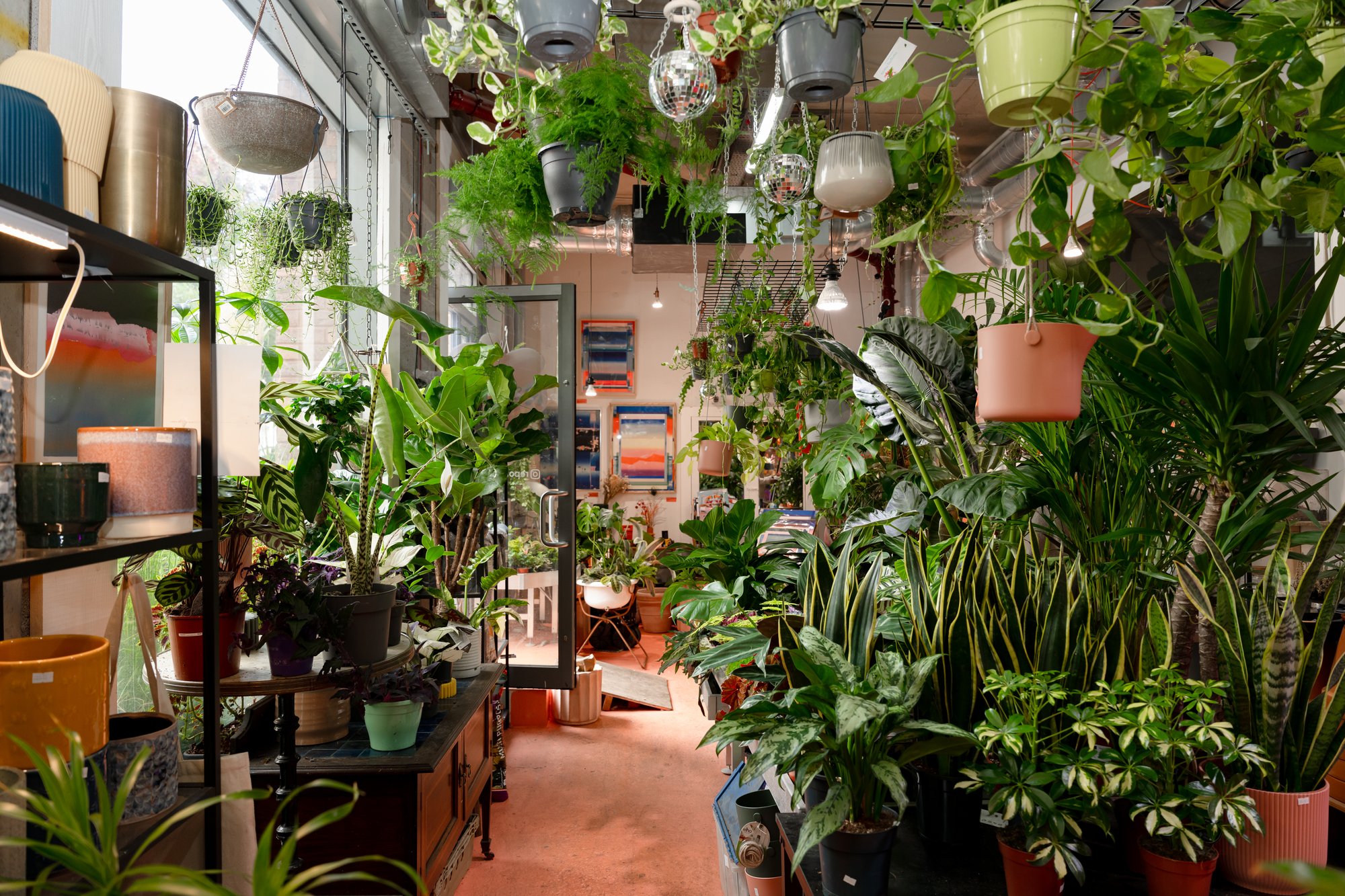 150_Wallis_Road_Studios_CLT_250924_MSZ